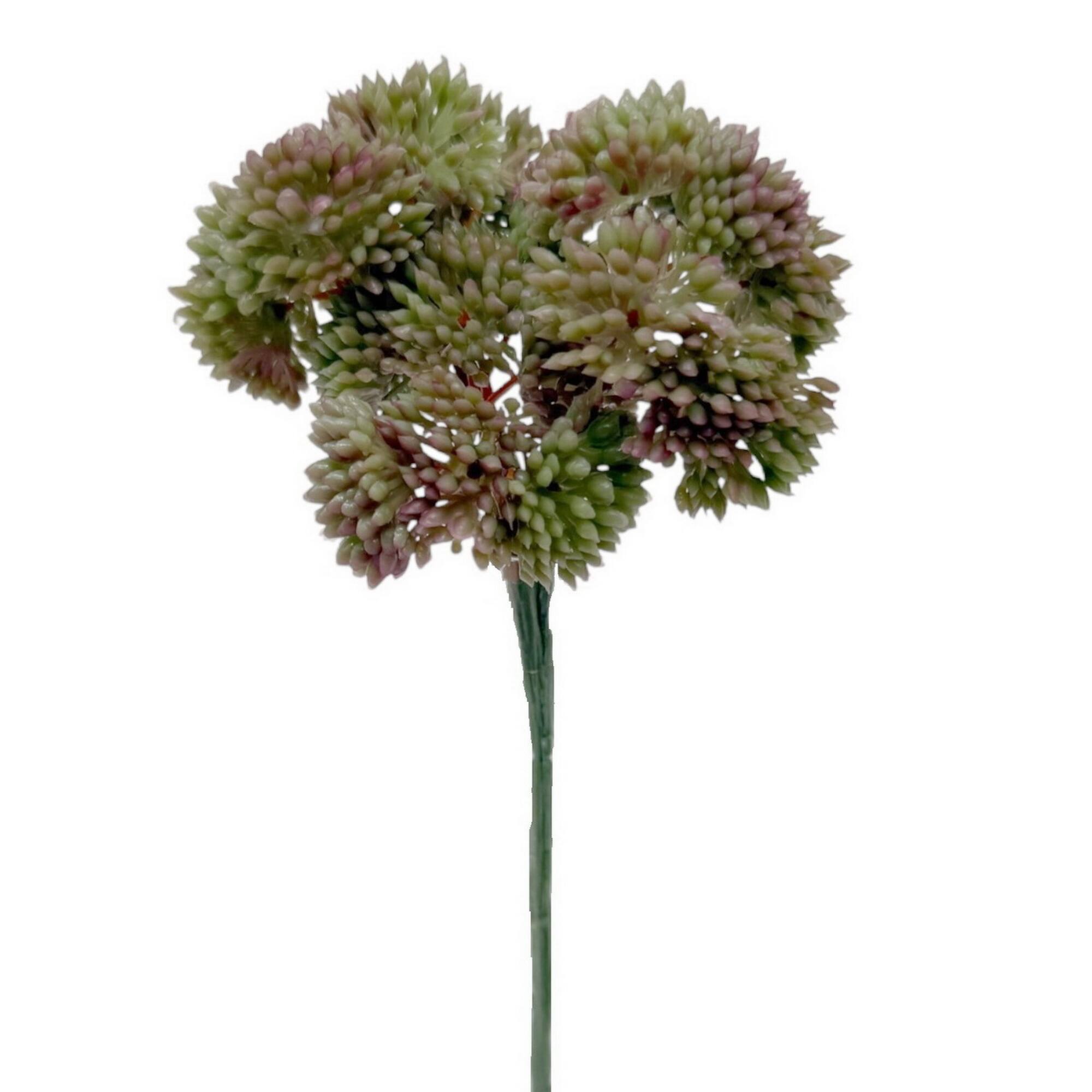 8" Sedum Pick by Ashland®